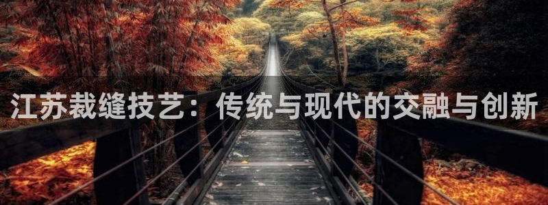 天辰娱乐招商