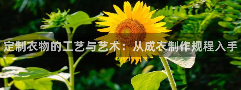 天辰娱乐指尖所