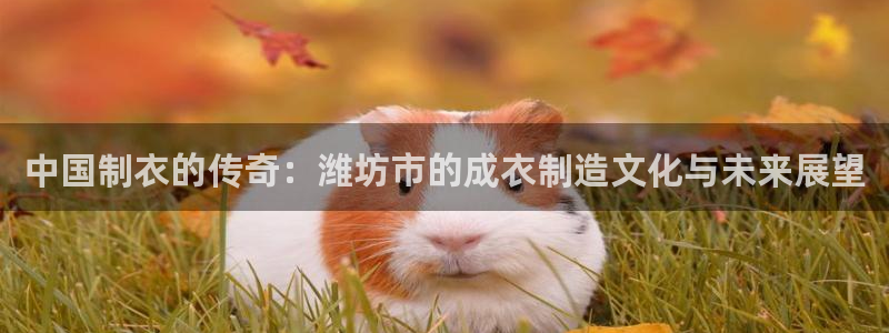 天辰娱乐台湾
