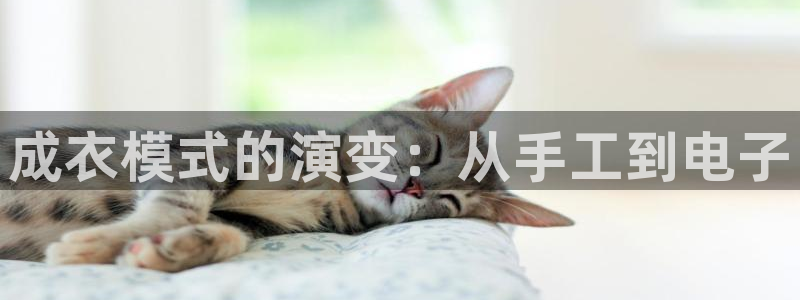 天辰娱乐 44516