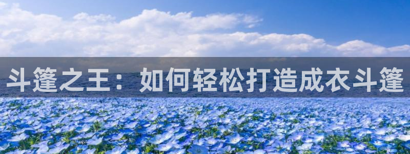 天辰娱乐海洋