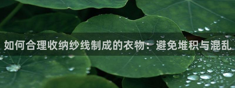 天辰娱乐总管