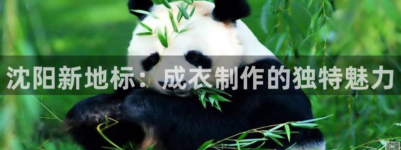天辰娱乐平台入口