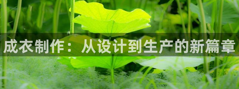 天辰娱乐游客