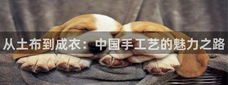 天辰娱乐文案