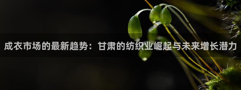 天辰线上娱乐