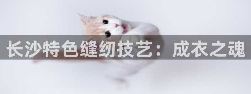 手机上怎么下载天辰娱乐