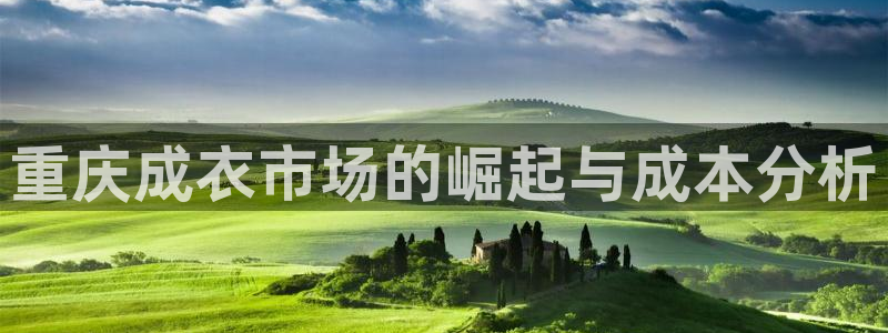 天辰娱乐总管