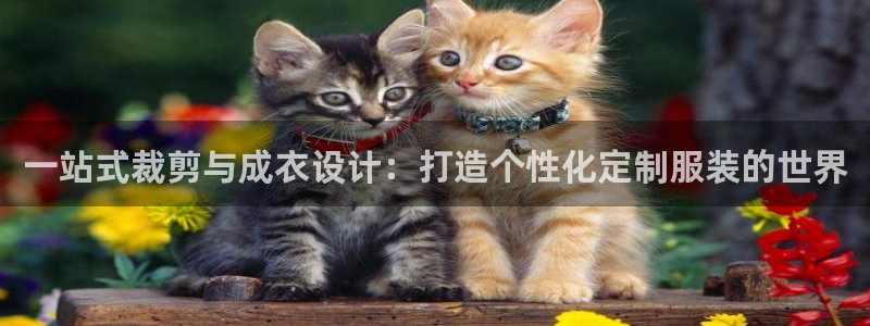 天辰娱乐待遇