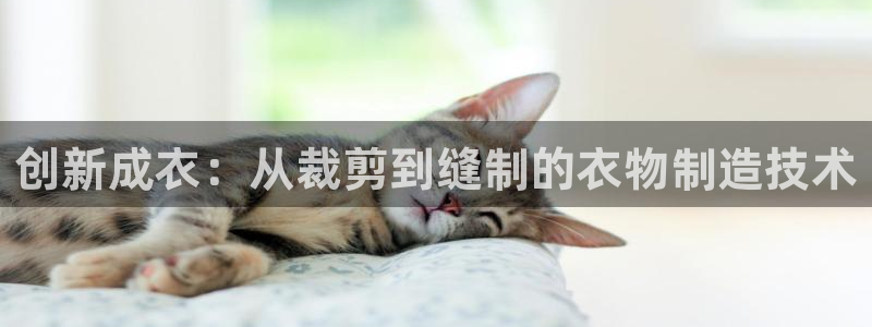 天辰娱乐股东