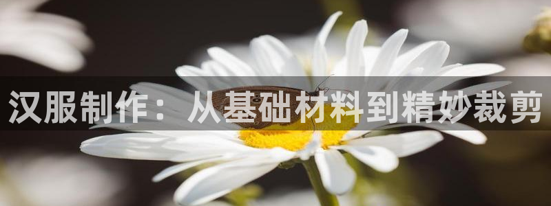 天辰娱乐1956