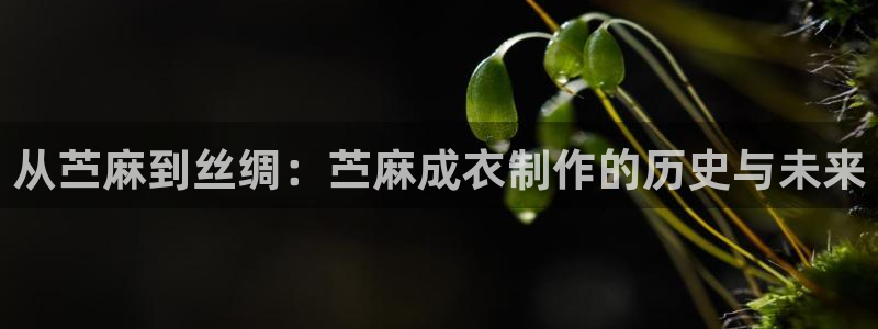 天辰娱乐文案