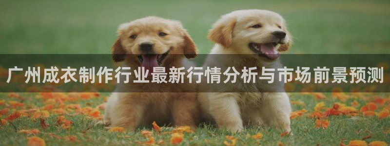 天辰娱乐557448