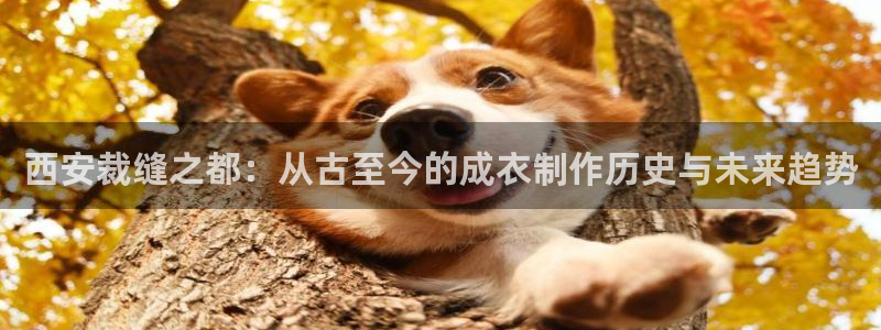 天辰娱乐