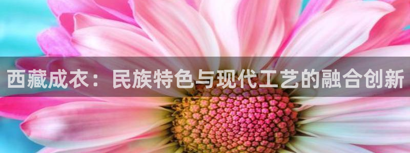 天辰娱乐1966