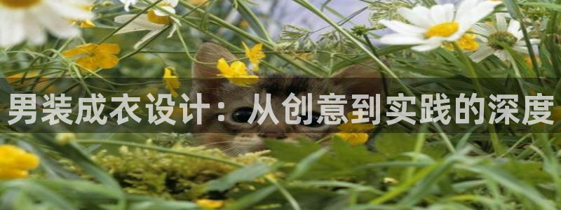 天辰娱乐鱼刺