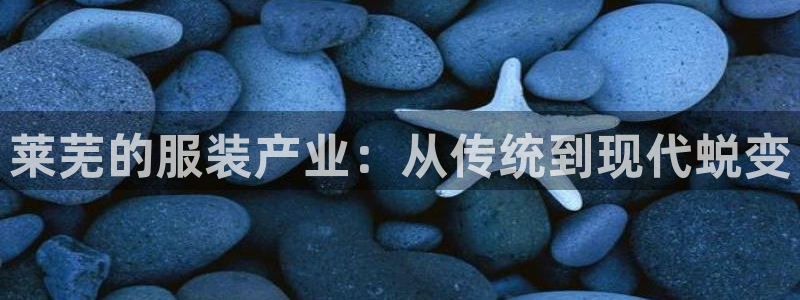 集宁天辰娱乐