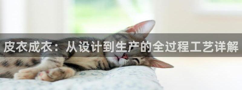 天富娱乐天辰娱乐