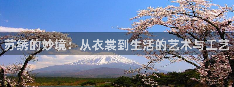 天辰娱乐电话