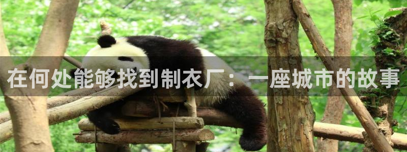 天辰天富娱乐登录