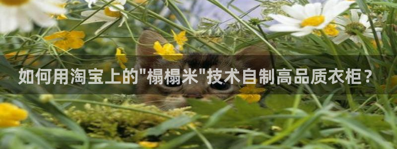 天富娱乐与天辰娱乐