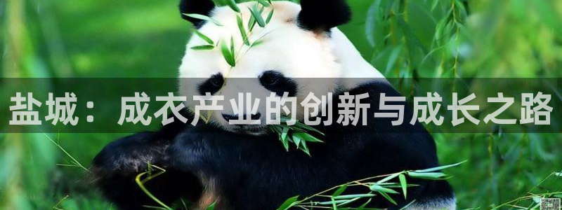 天辰娱乐官网平台下载