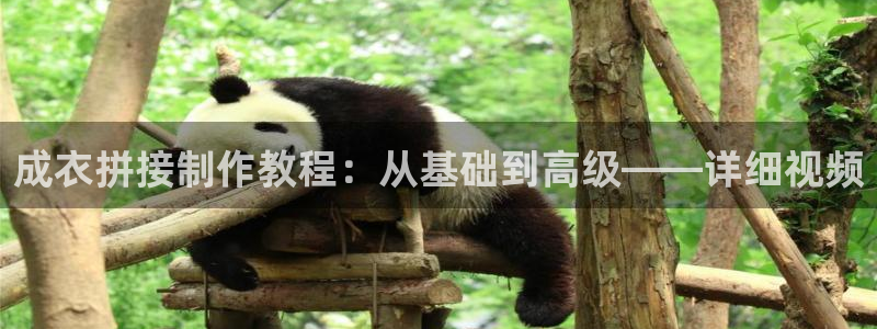 天辰娱乐线路