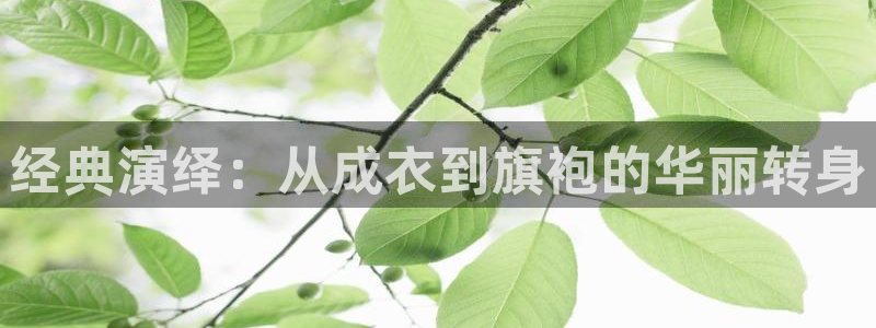 天辰娱乐总管