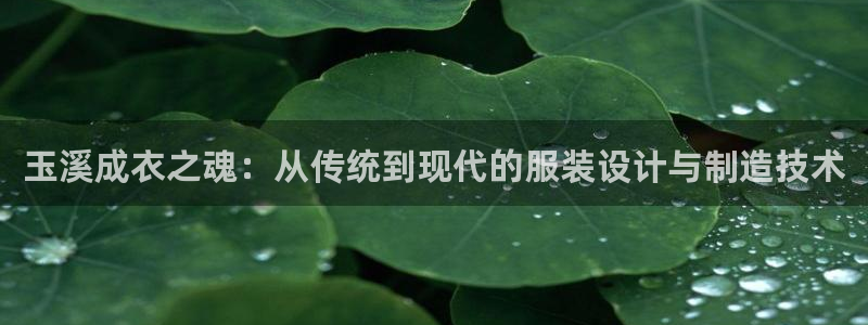 天辰娱乐新