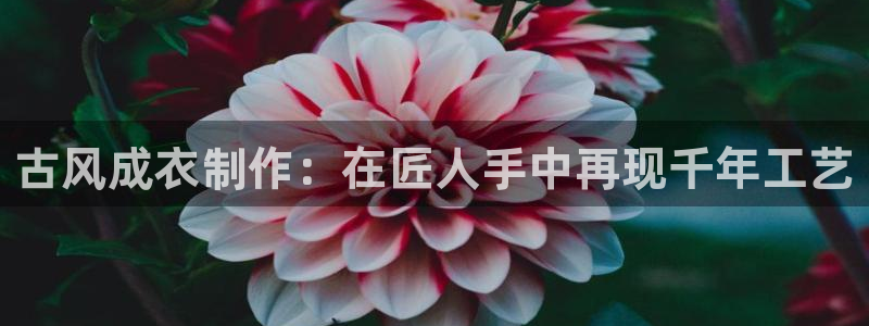 天辰娱乐的网址首页