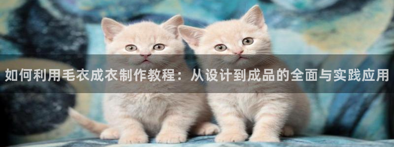 菲律宾天辰娱乐
