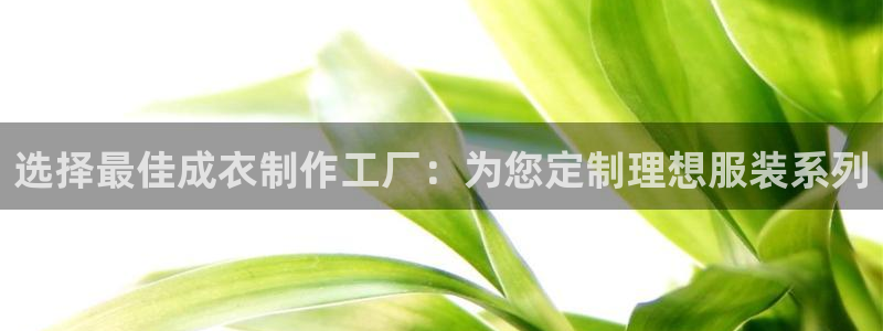 天辰娱乐海洋