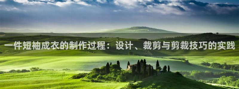 天辰娱乐小姐