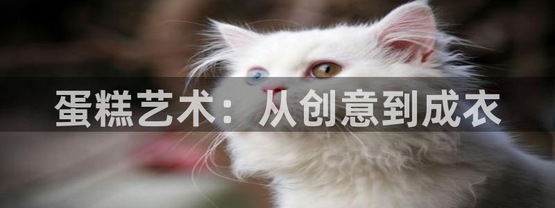 天辰娱乐平台登录账号