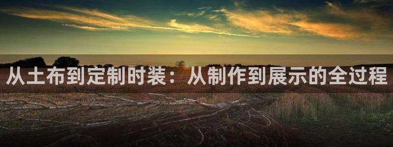 天辰娱乐维护