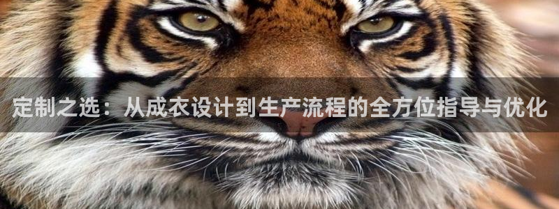 北京天辰娱乐