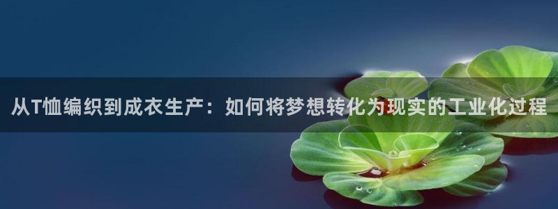 天辰娱乐1966