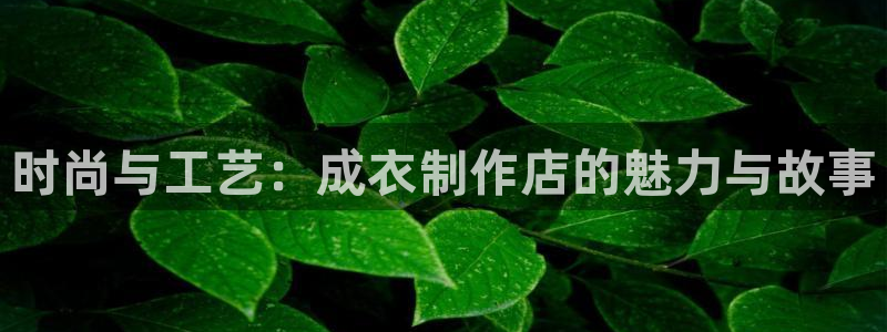 天辰娱乐官方登录入口