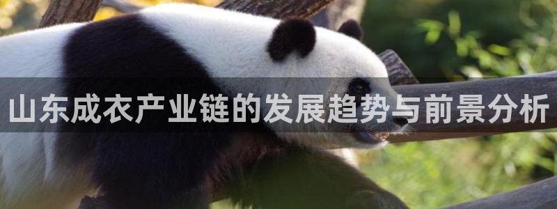 天辰娱乐 首选