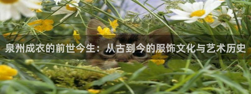 天辰娱乐39974神