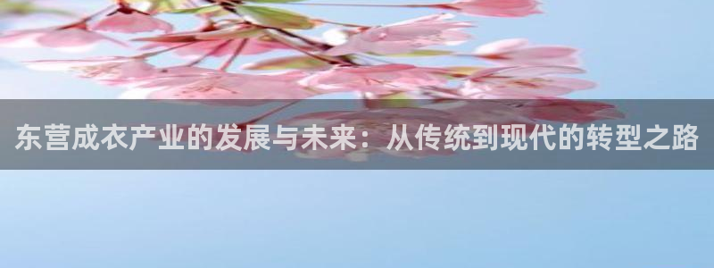 天辰娱乐指尖所