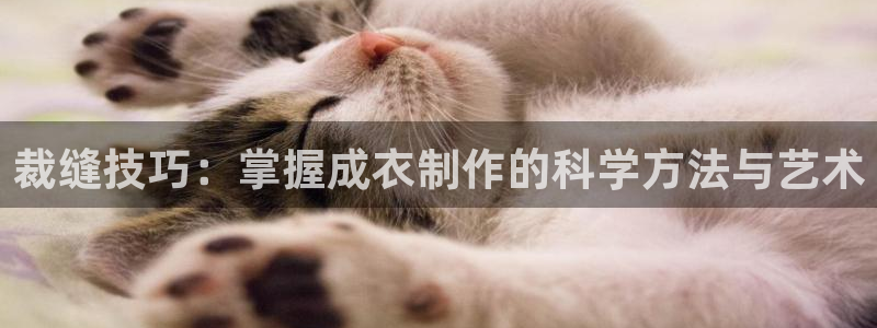 天辰平台娱乐