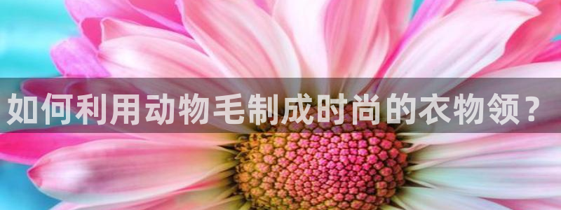 天辰娱乐1966
