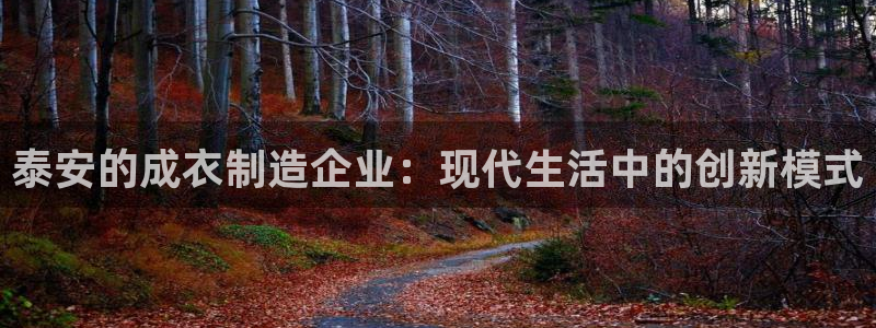 辰天娱乐用品
