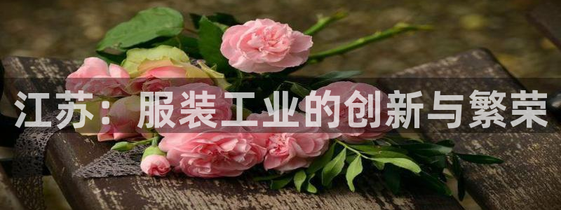 天辰娱乐新