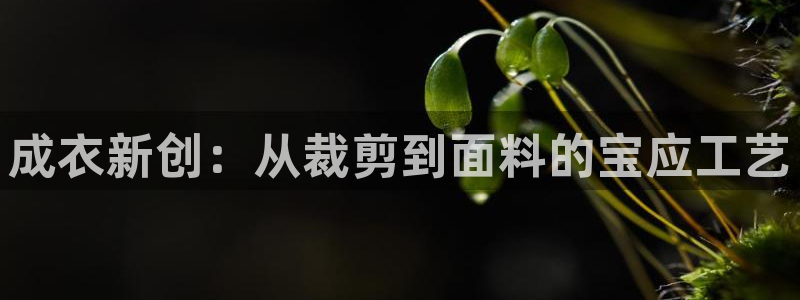 天辰登陆娱乐