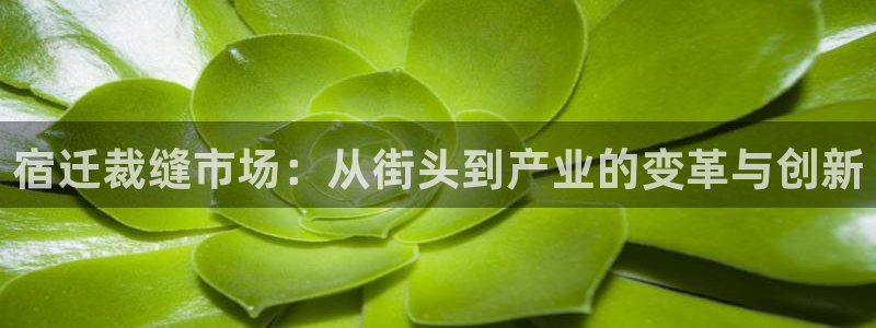 天辰娱乐十分彩