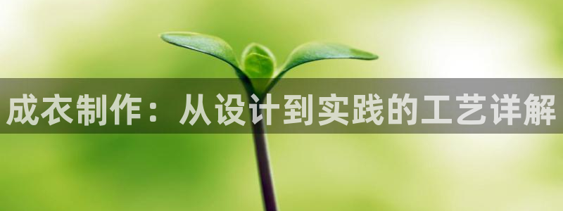 天辰娱乐官网平台入口