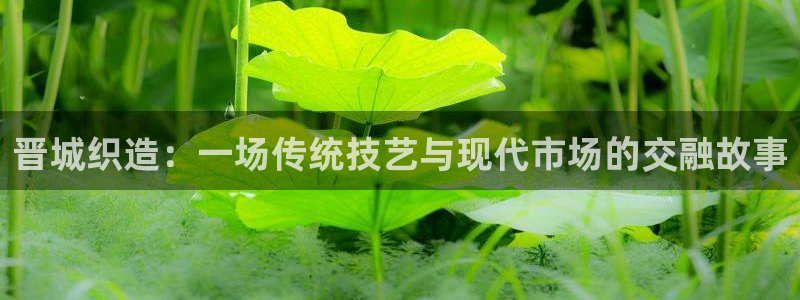 天辰娱乐传媒