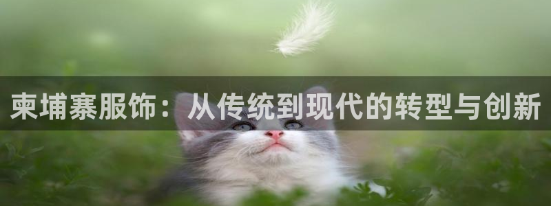 娱乐ktv天辰